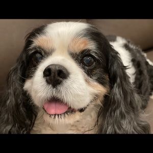 Meet your Posher, Lori